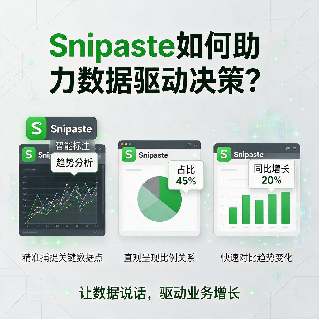 Snipaste如何助力数据驱动决策？