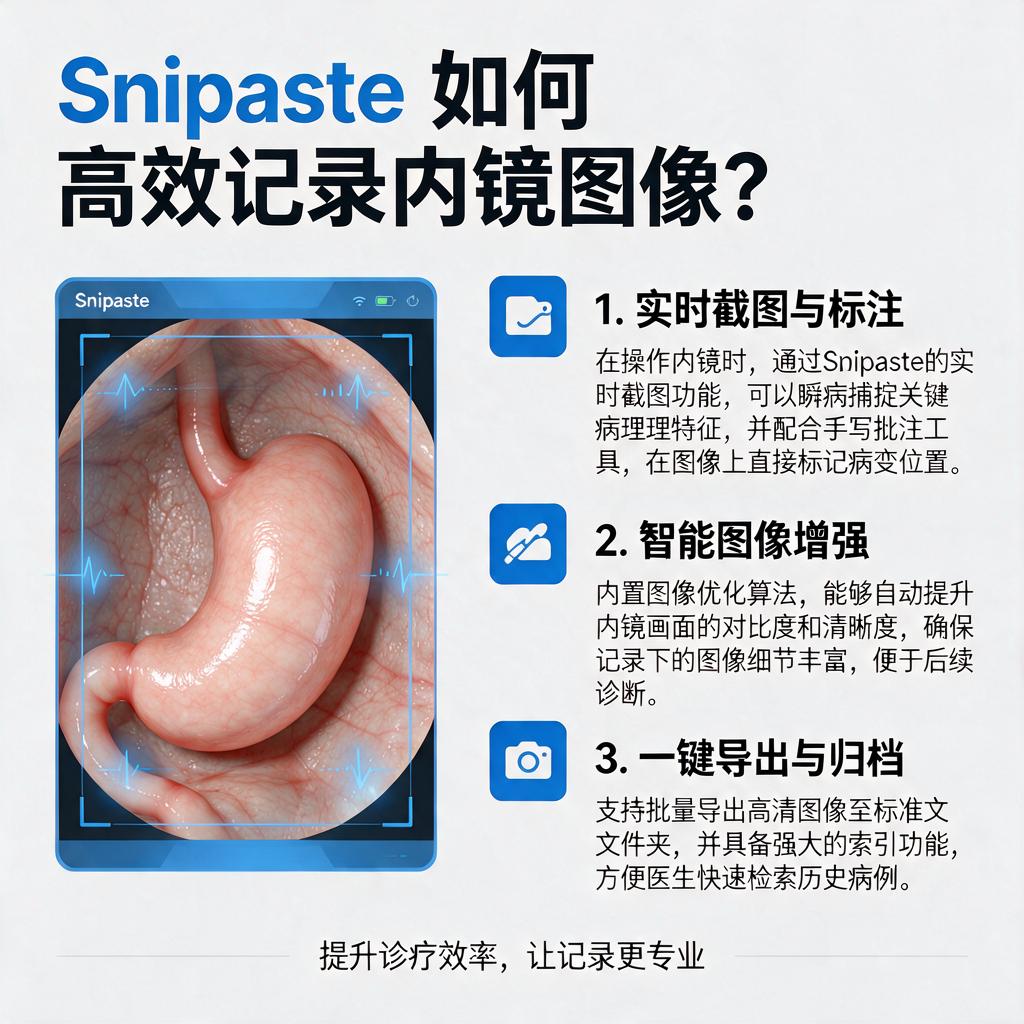 Snipaste如何高效记录内镜图像?