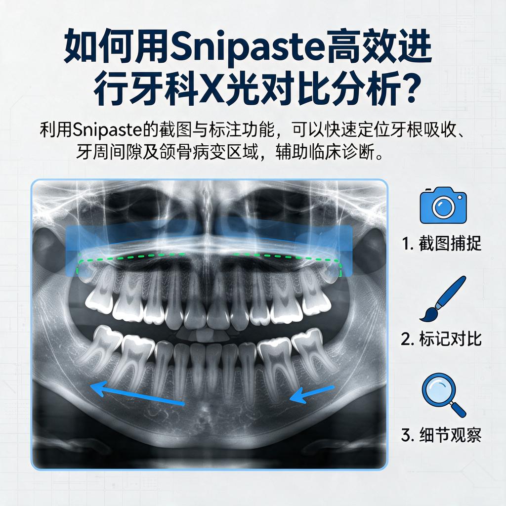 如何用Snipaste高效进行牙科X光对比分析?