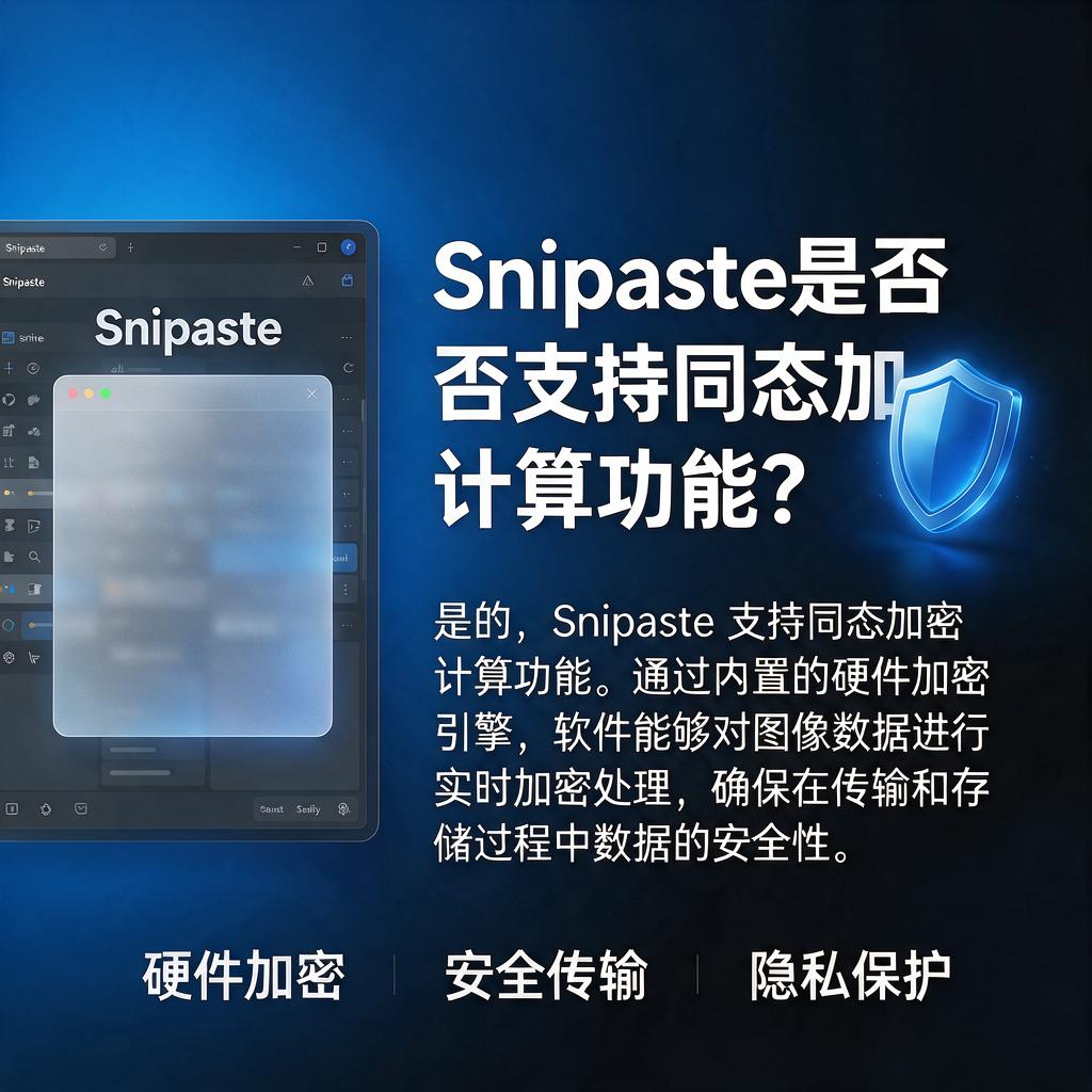 Snipaste是否支持同态加密计算功能？
